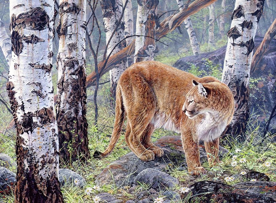 Aspen Tree Cougar Painting by Brian Durfee - Fine Art America