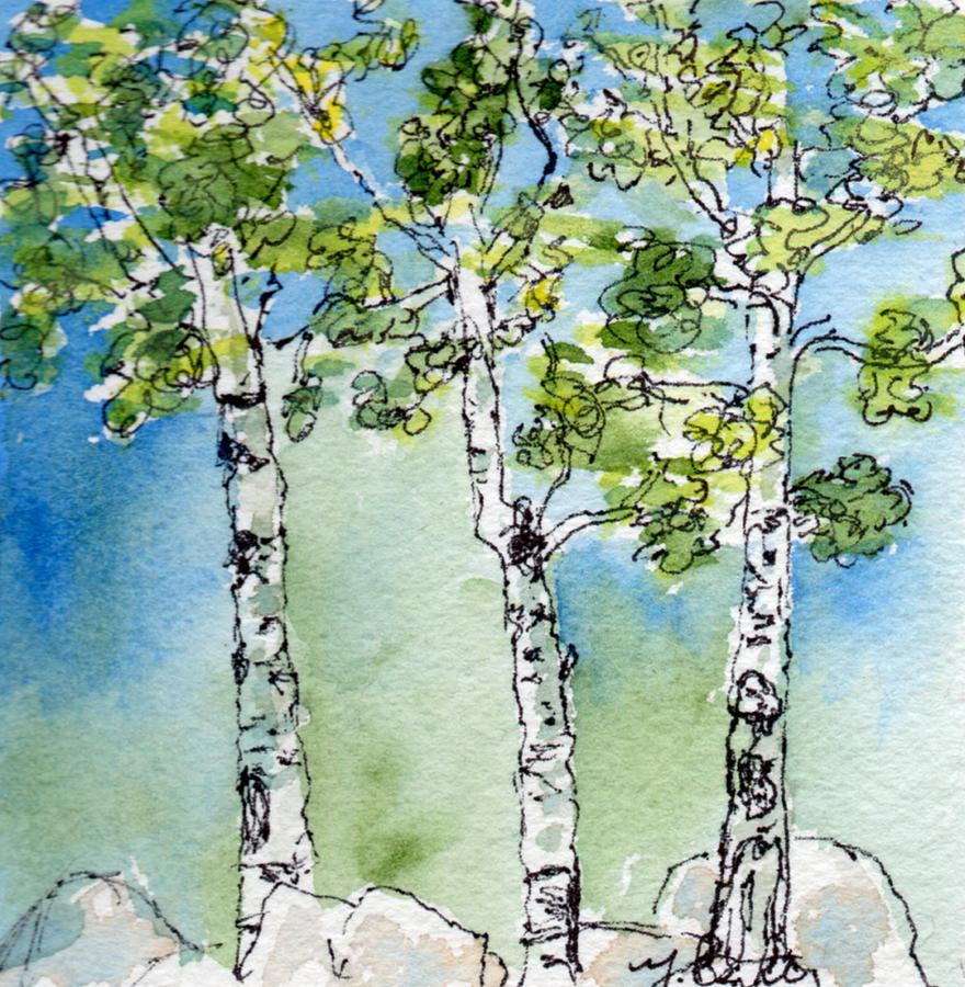 Aspen Trio Painting by Mary Benke