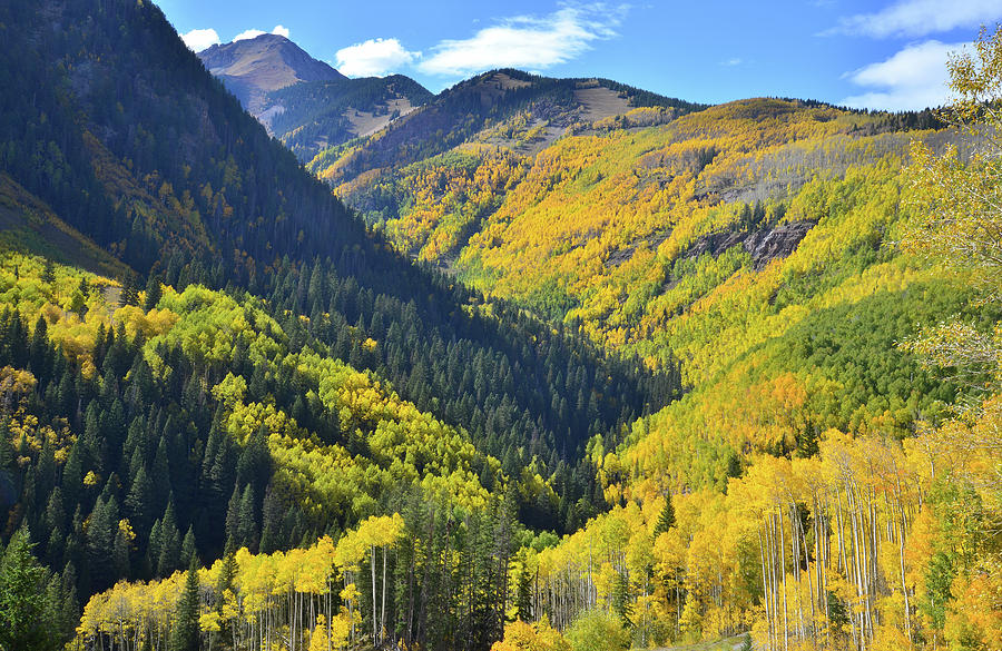 Aspen Valley along Scenic Byway 145 Photograph by Ray Mathis
