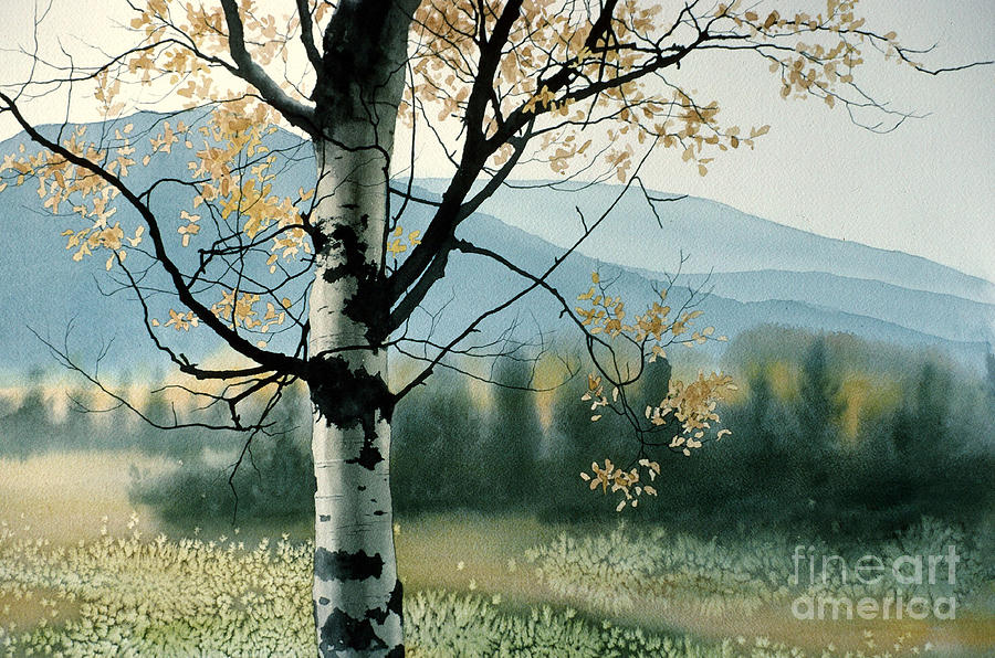 Nature Painting - Aspen Valley by Frank Townsley