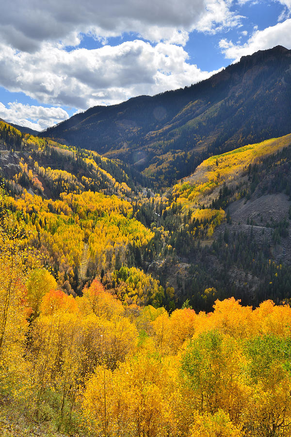 Aspen Valley Photograph by Ray Mathis