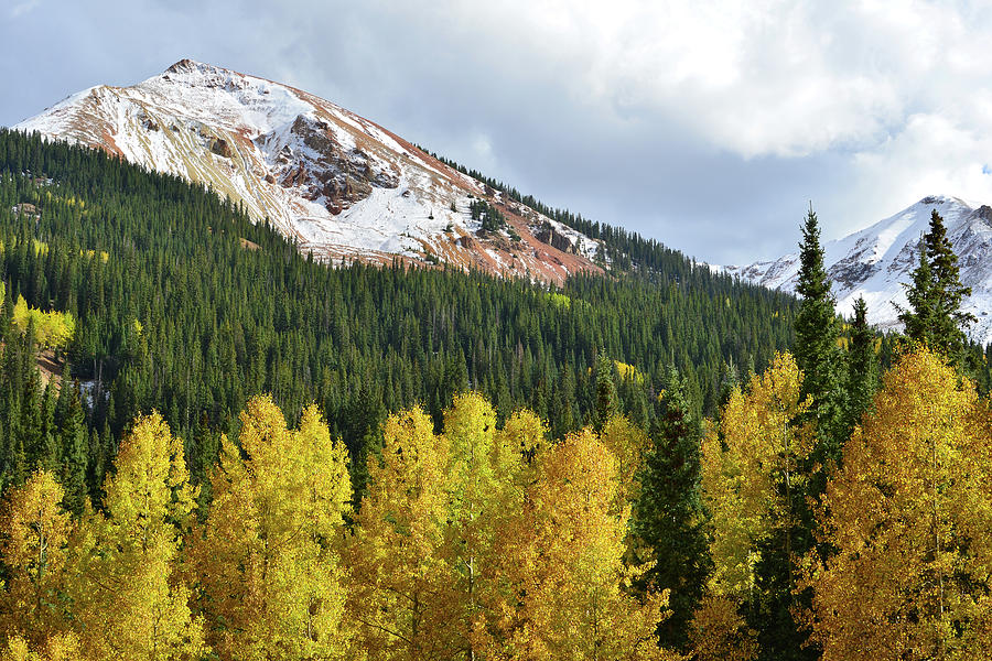 Aspens and  Red Mountain Photograph by Ray Mathis