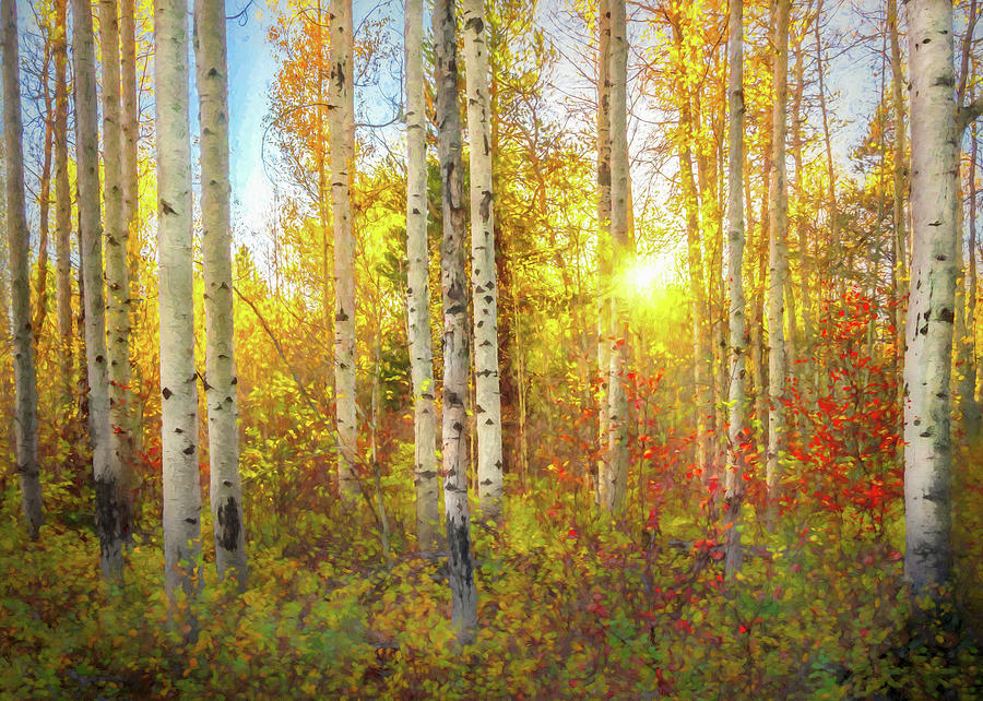 Sunset Aspens shops