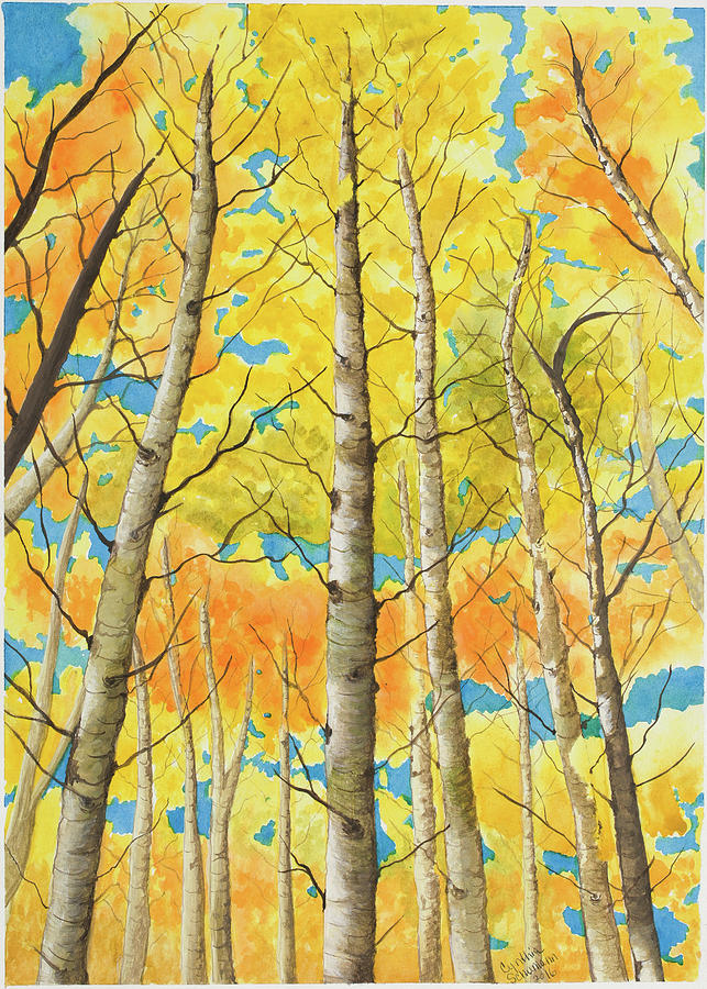 Tree Painting - Aspens in Fall by Cynthia Schumann