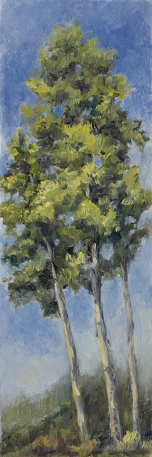 Aspens by Julie Rumsey Aspens by Julie Rumsey