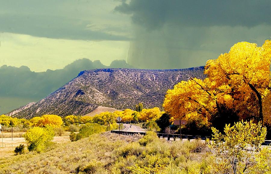 Aspens near Durango Colorado in October Photograph by Janette Boyd