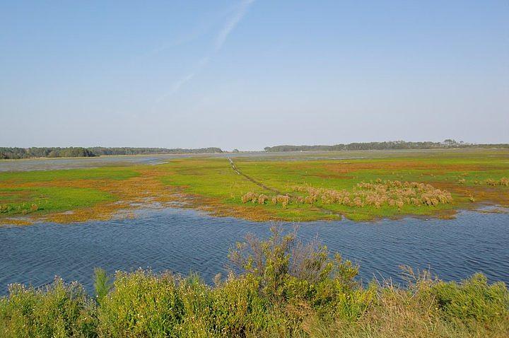 Assateague Photograph - Assateague Island by Gregory Smith Assateague Photograph - Assateague Island by Gregory Smith