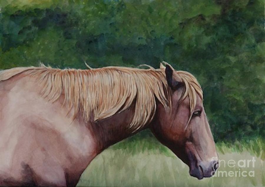 Assateague Island Pony Painting by Charlotte Yealey