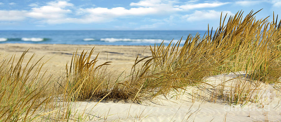 Assateague National Shoreline Panorama Photograph by Karen Jorstad ...