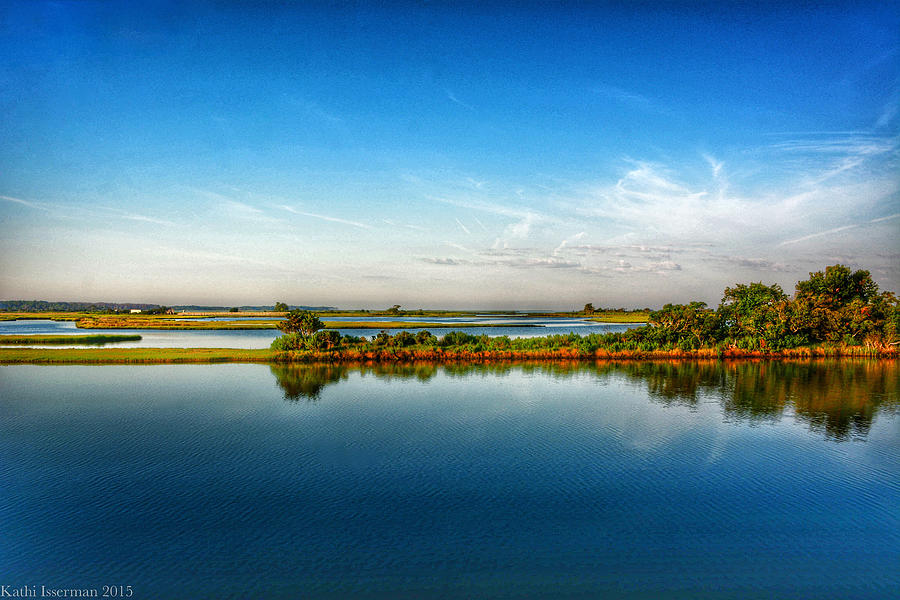 Assateague Summer I Photograph by Kathi Isserman