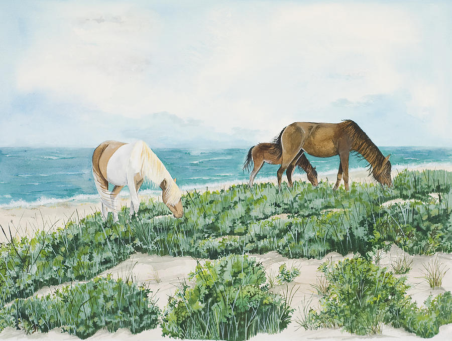 Animal Painting - Assateague Wild Pones by Virginia McLaren