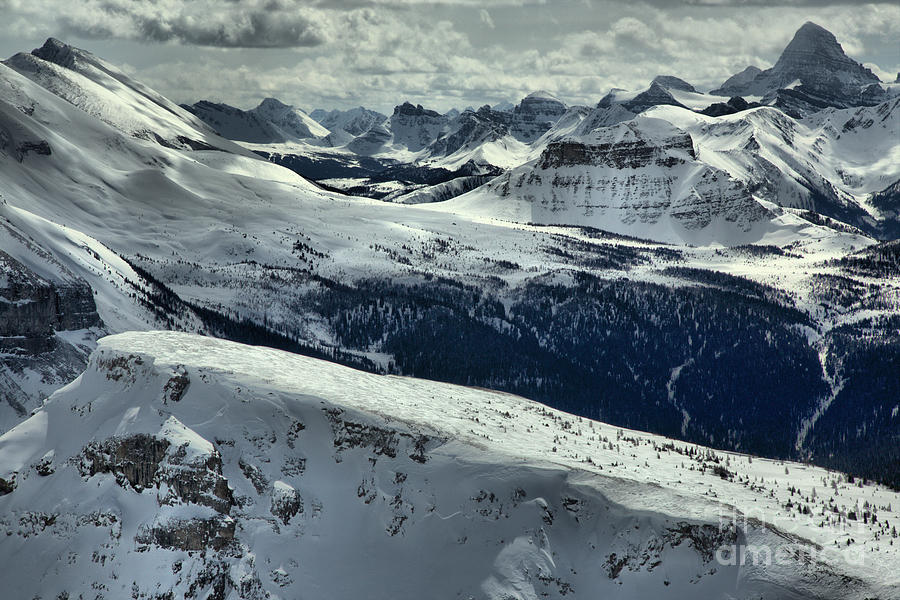 Assiniboine In The Rockies Photograph by Adam Jewell