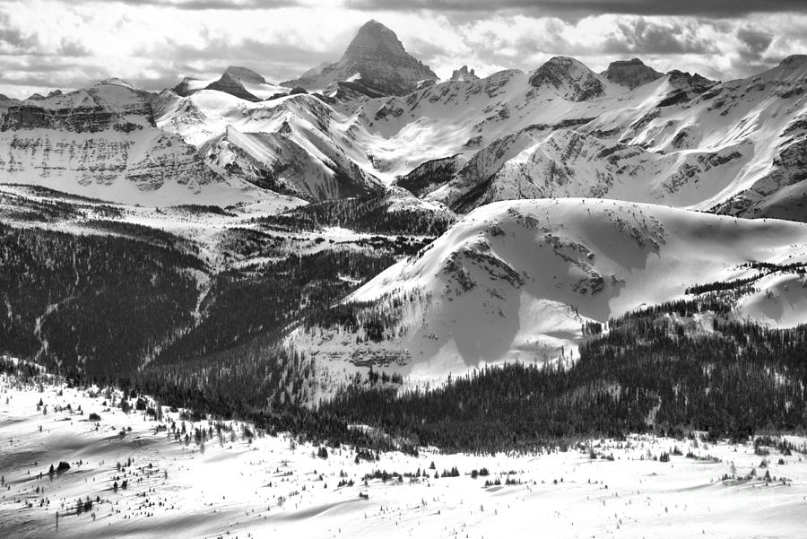 Assiniboine View From Sunshine Village Black And White Photograph by Adam Jewell