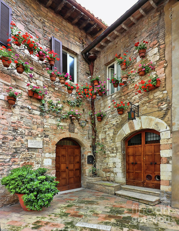 Assisi Doors  0587 Photograph by Jack Schultz