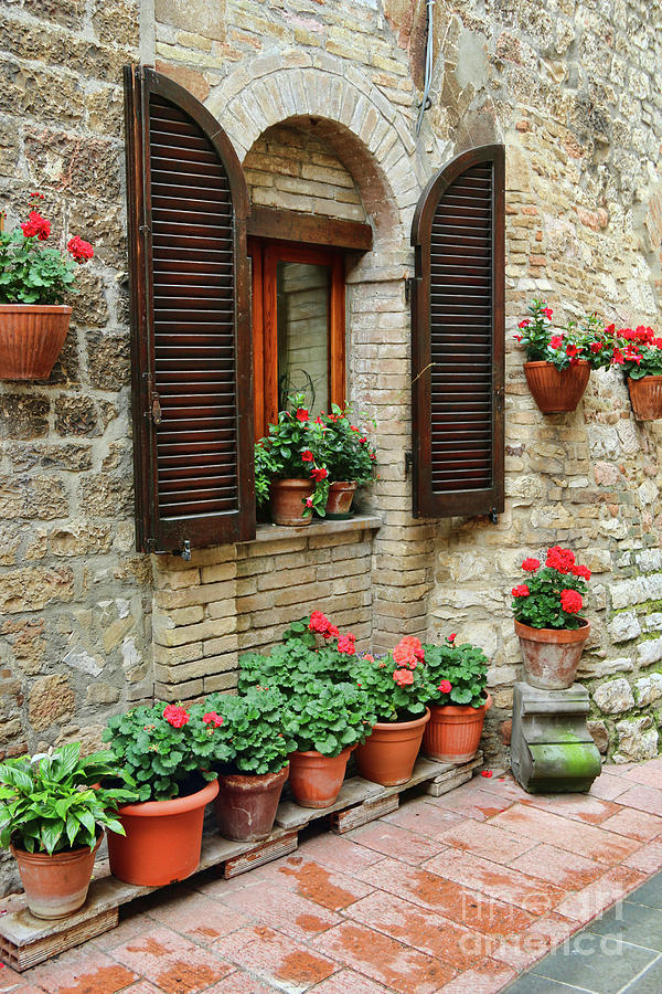 Assisi Window Flowers 1361 Photograph by Jack Schultz