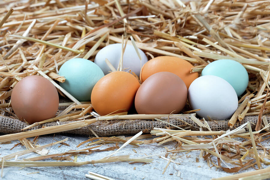 assorted-raw-chicken-eggs-resting-on-str