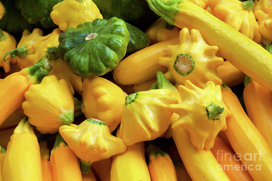 Assorted summer squash at the farmers market Photograph by Bruce Block