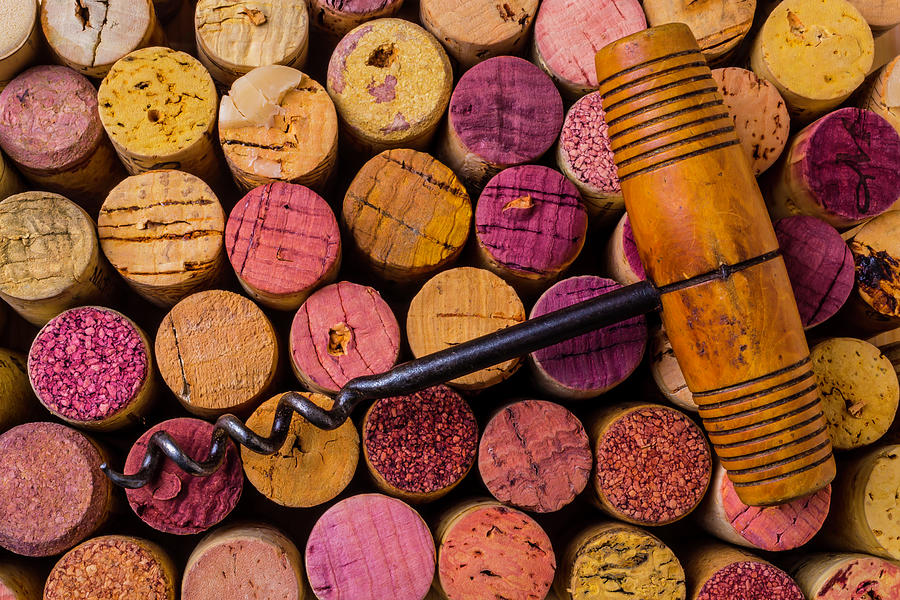 Assorted Wine Corks And Corkscrew Photograph by Garry Gay