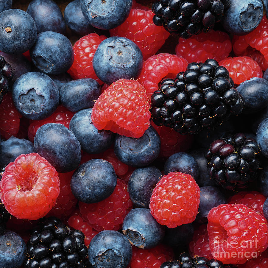 Assortment of berries Photograph by Andreas Berheide