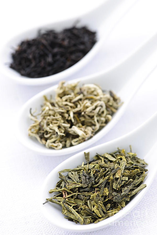 Assortment of dry tea leaves in spoons Photograph by Elena Elisseeva