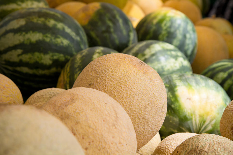 Assortment Of Melons Photograph by Dina Calvarese