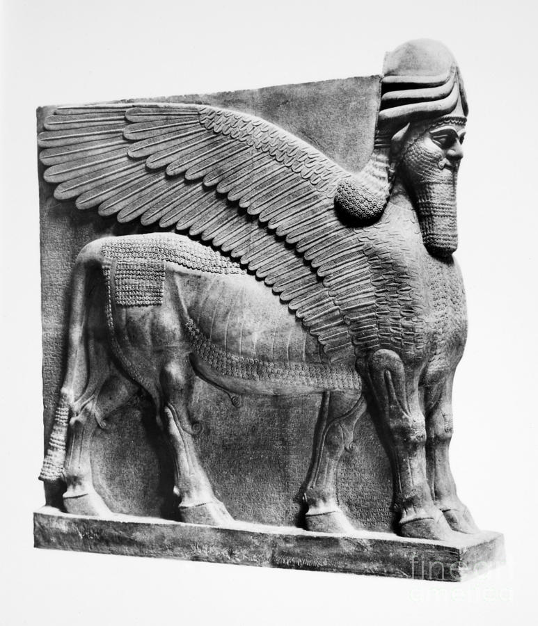 Assyria: Bull Scultpure Photograph by Granger