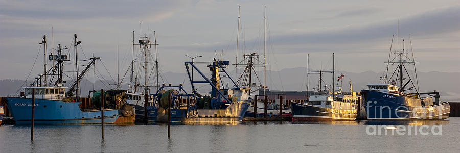 Astoria Fishing Fleet at Dawn Photograph by Chuck Flewelling
