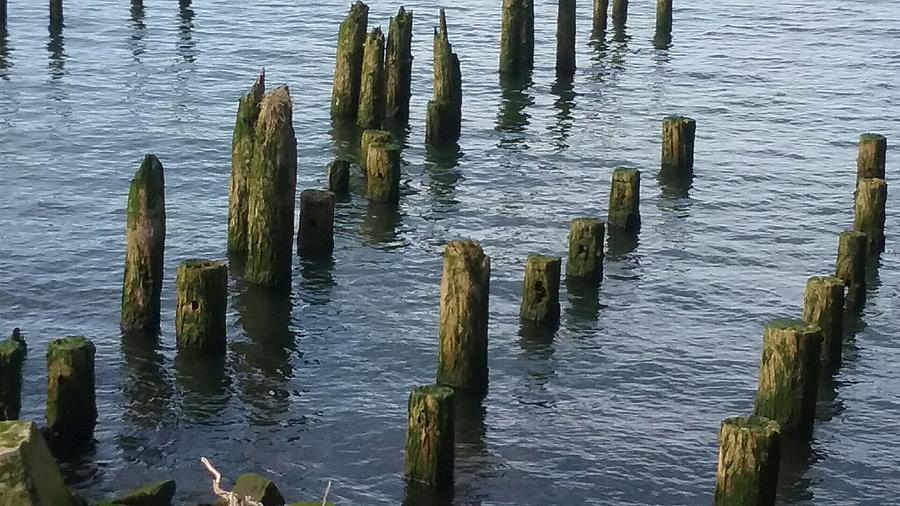 Astoria Pilings Mixed Media by Pamela Clark-Cashin - Fine Art America