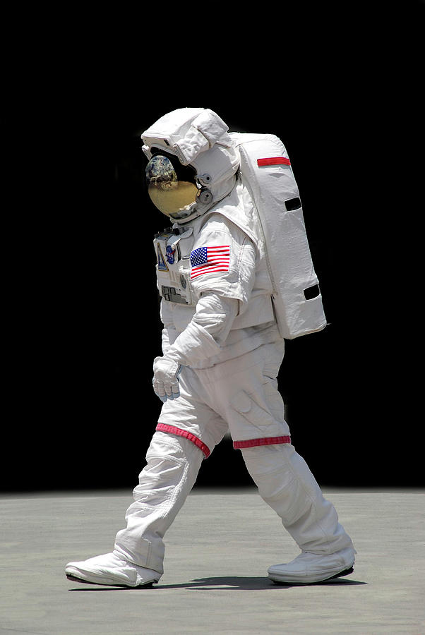 Astronaut Photograph by Frances Miller