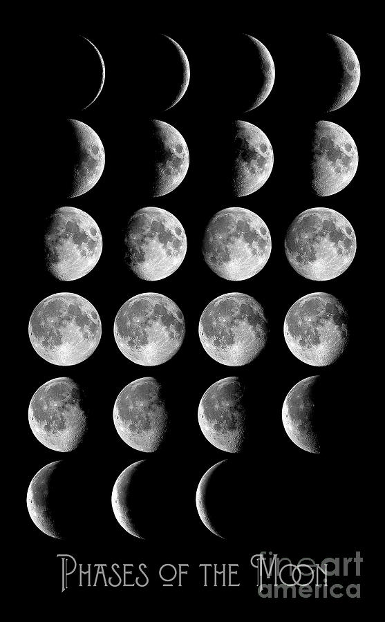 Astronomy Chart, Phases of the Moon, Lunar chart Photograph by Tina