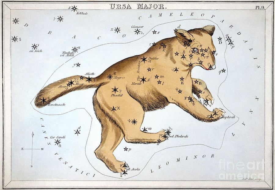 Astronomy: Ursa Major Photograph by Granger