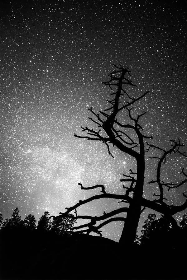 Astrophotography Night Black and White Portrait View Photograph by