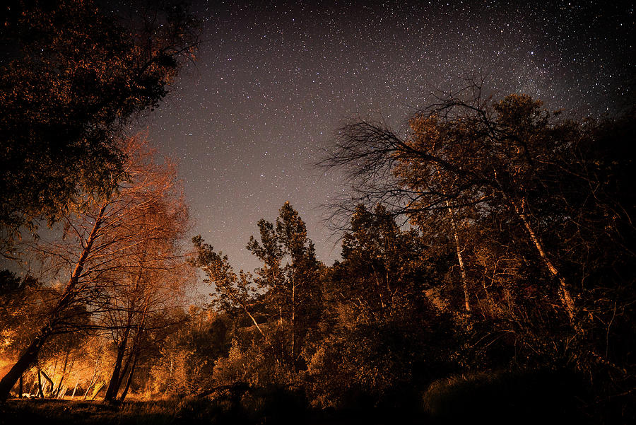 Astrophotography - Sequoia RV Ranch - California Photograph by Ryan Kelehar