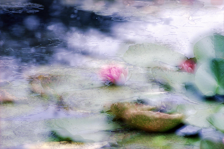 At Claude Monets Water Garden 12 Photograph by Dubi Roman