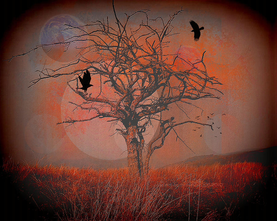 at Dusk Digital Art by Mimulux Patricia No