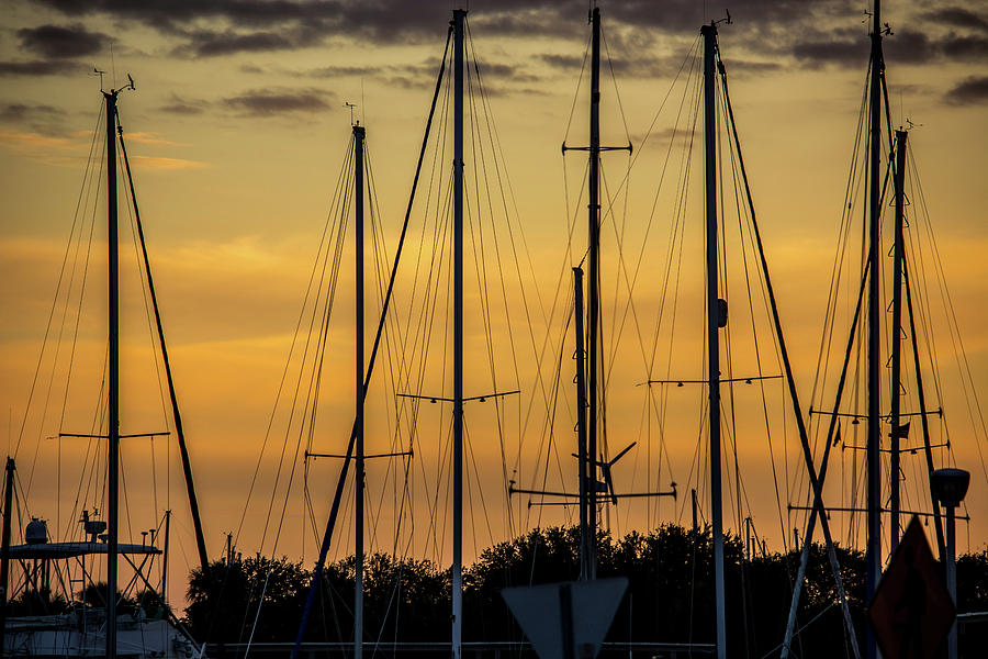 At Ease Photograph by Erik Anderson - Fine Art America