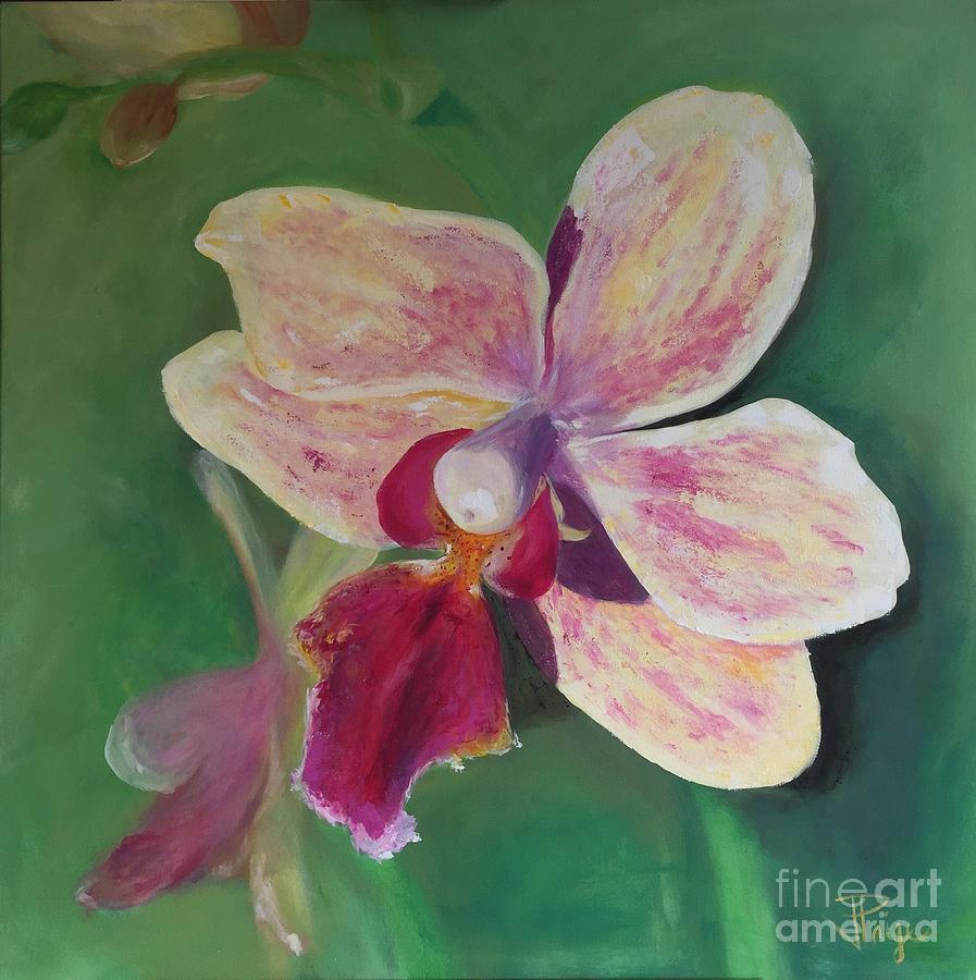 Orchid Painting - At Liberty by Julie Clanton