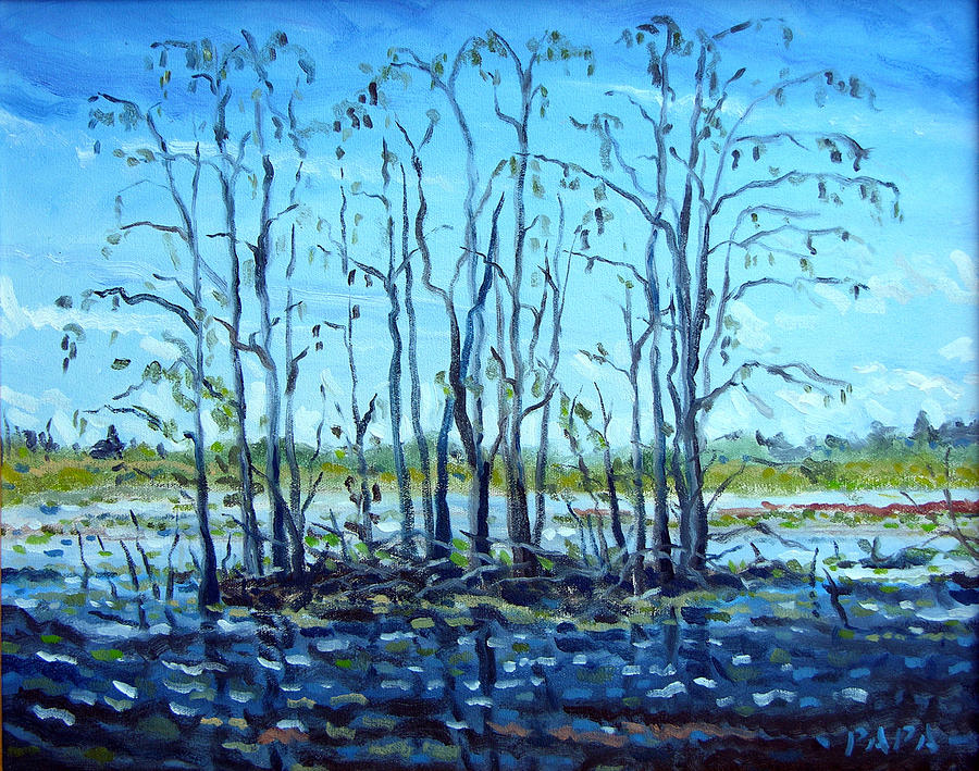 Landscape Painting - At Loxahatchee by Ralph Papa