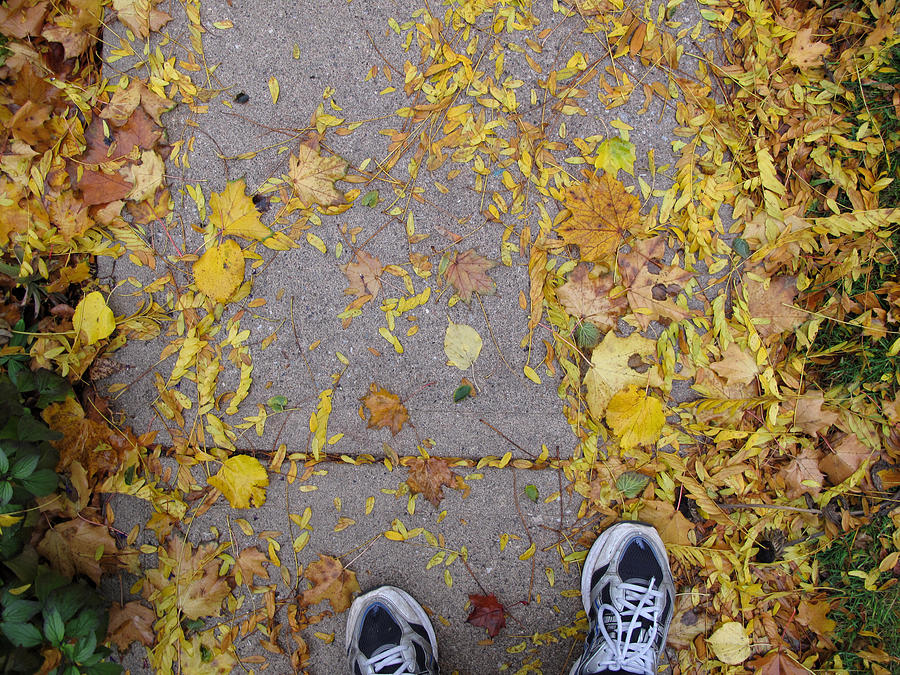 Fall Photograph - At My Feet by Lyle Crump