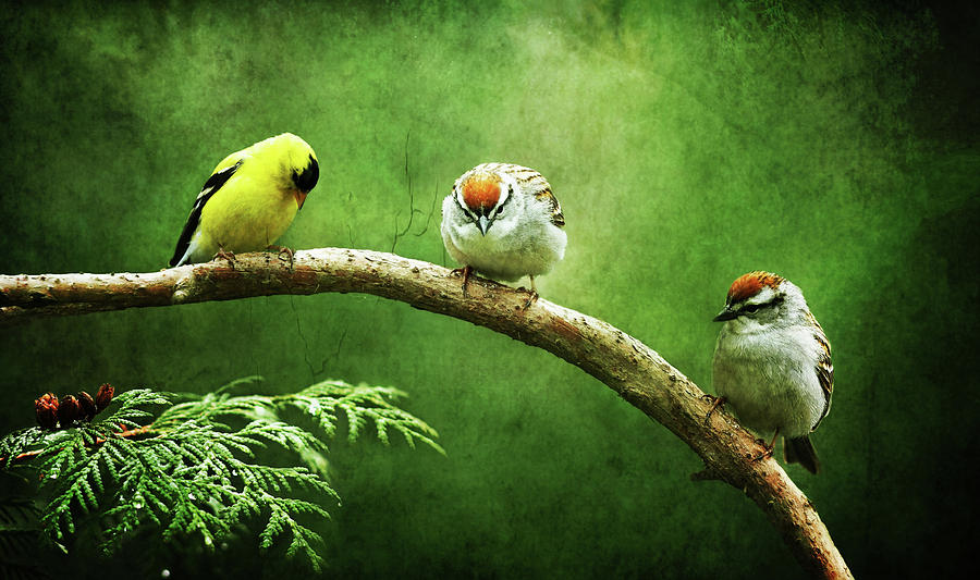 At Rest by KaFra Art At Rest by KaFra Art