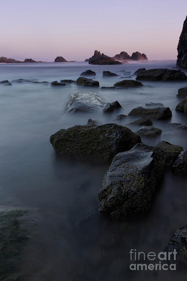 At Seal Rock State Park Photograph
