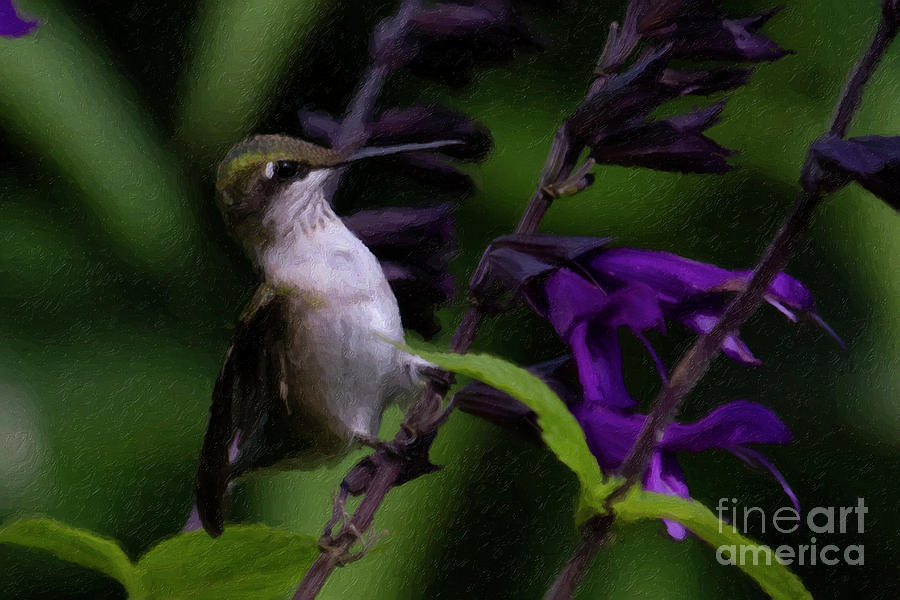 Hummingbird Painting - At The Amistad by C L Lassila Hummingbird Painting - At The Amistad by C L Lassila