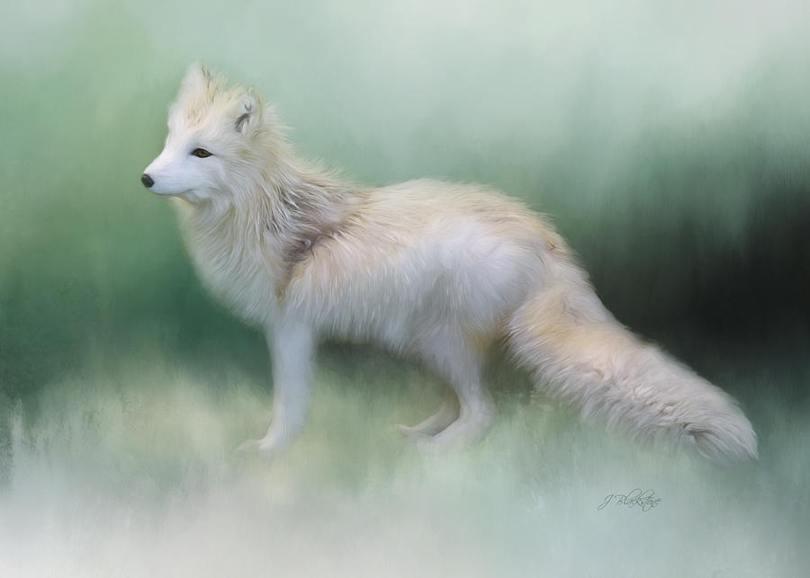 Wildlife Painting - At The Centre - Arctic Fox Art by Jordan Blackstone