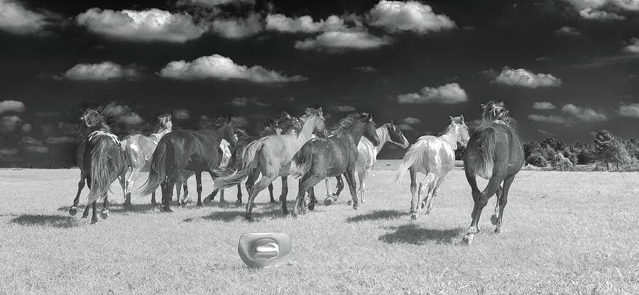 At the Drop of a Hat - Blackjack Mountain Spanish Mustangs Infrared Photograph by Bert Peake