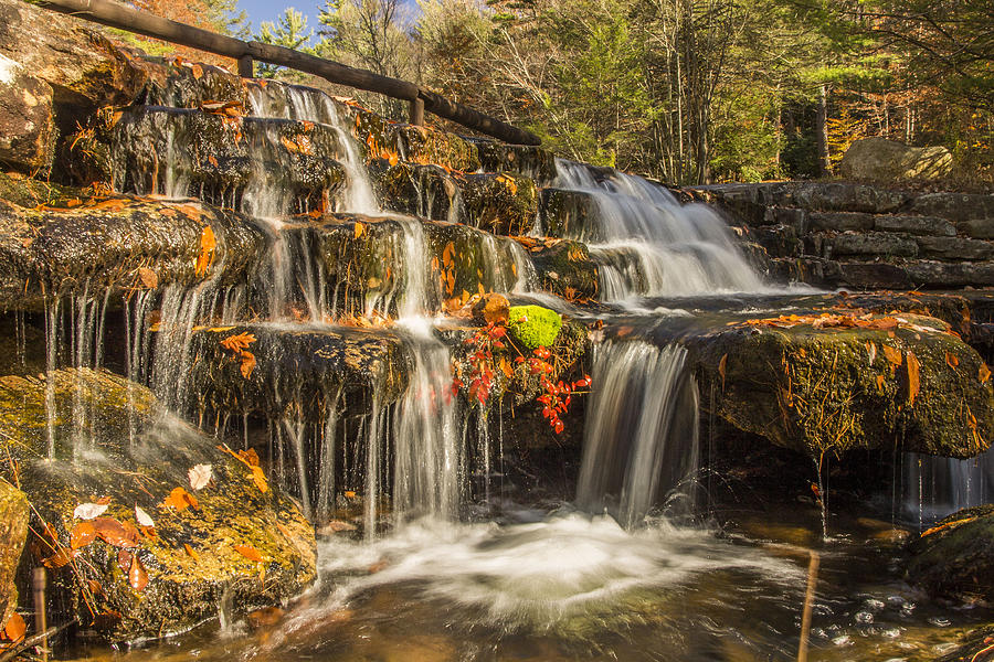 At the Fordway Photograph by Lisa Hurylovich - Fine Art America