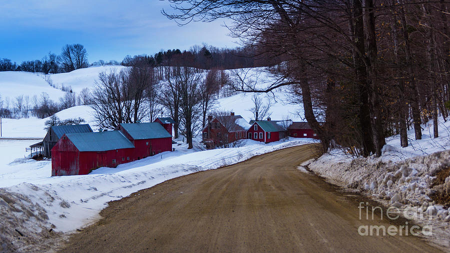 At the Jenne Farm Photograph by Scenic Vermont Photography