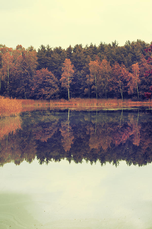 Fall Photograph - At the lake by Art of Invi