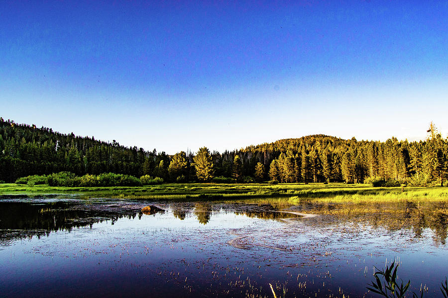 At the Lake Photograph by Tyler Marks - Fine Art America