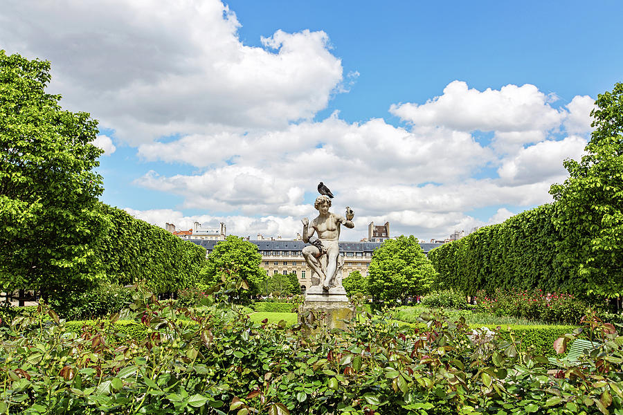 At the Palais Royal Gardens Photograph by Melanie Alexandra Price