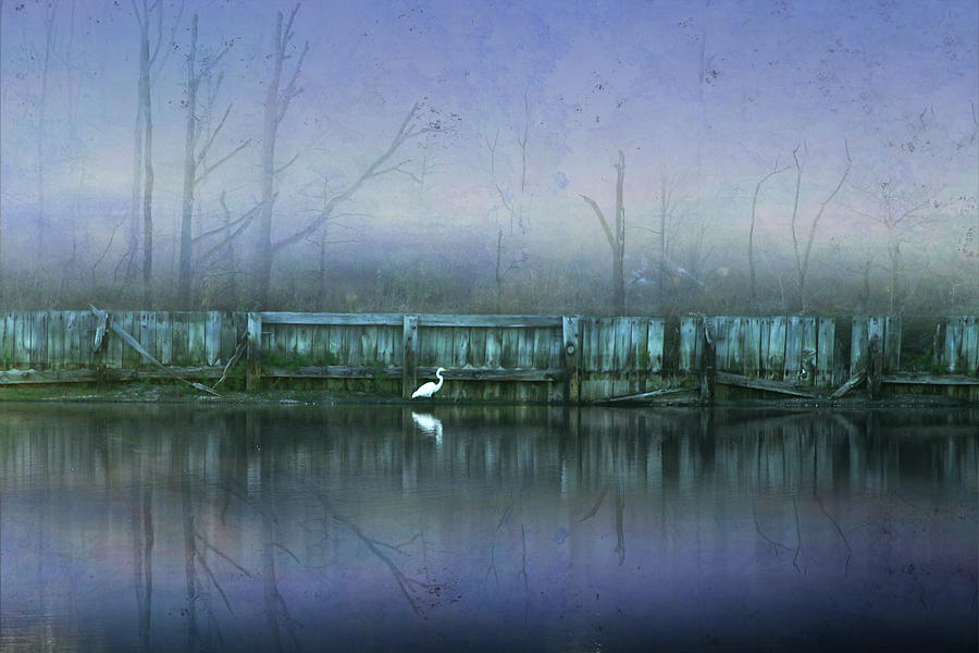 Egret Digital Art - At the pond by William Bader